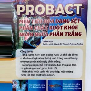 Chế Phẩm Vi Sinh Tiêu Hóa Probact