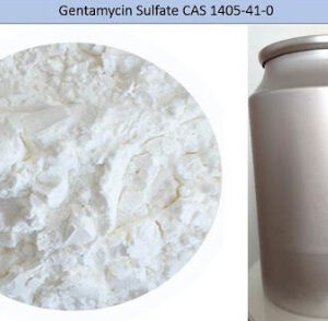 GENTAMYCIN SULFATE